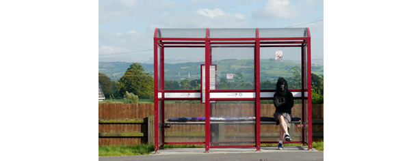 gorilla in a bus stop