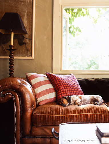 vintage leather sofa with fabric cushions - dog heaven!