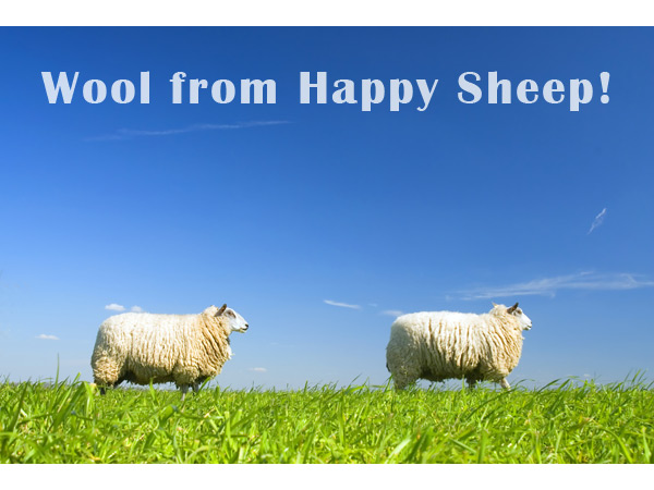 Wool batting from happy sheep for upholstery