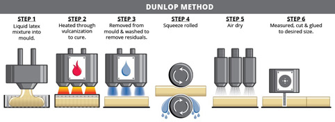 (dunlop latex process illustrated diagram) Talalay vs Dunop - which latex should I choose for my upholstery?