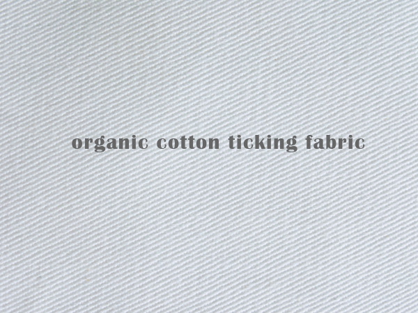 Organic cotton twill ticking fabric sample