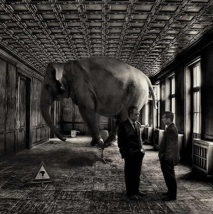 Elephant in the room by David Blackwell.CC BY-ND 2.0